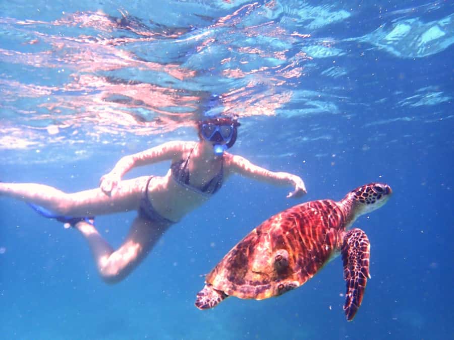 From Al-Seeb: Dimaniyat Islands Boat Trip with Snorkeling - The guides are a major part of the experience
