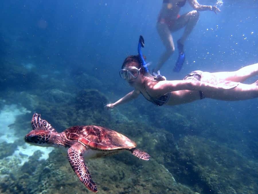 From Al-Seeb: Dimaniyat Islands Boat Trip with Snorkeling - Is $85 good value for this half-day outing?