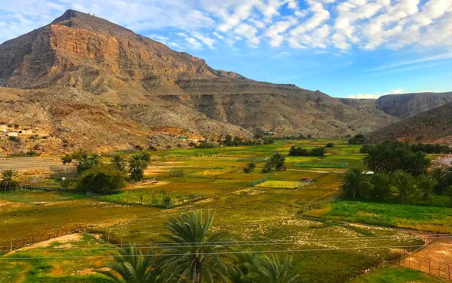 From Dubai: Musandam Khasab Tour with Boat Trip and Safari - Practical tips for making the day better