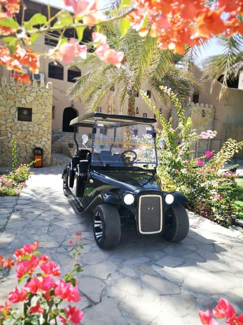 From Jebel Akhdar: Al Aqur Village Cultural Cart Tour - Key points about this Al Aqur experience