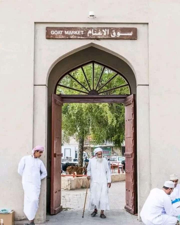 From Muscat: 3-Days Nizwa, Desert, Turtle, Wadi Shab - What this three-day Oman tour is really like