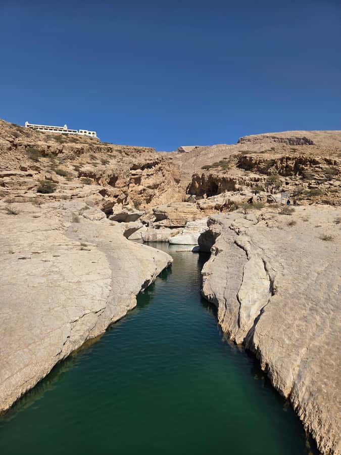 From Muscat: Desert and Wadi Bani Khalid Oasis Full-Day Tour - The guide can make or break this outing