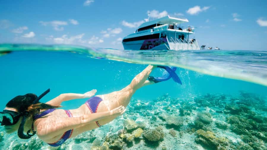 From Muscat: Dimaniyat Islands Snorkeling Tour - Key points to know before you book