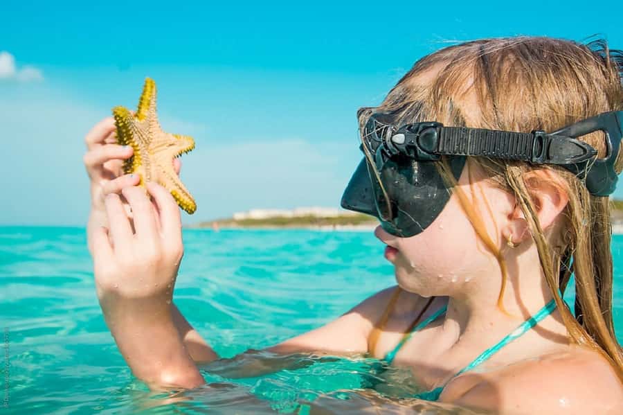 From Muscat: Dimaniyat Islands Snorkeling Tour - Morning pickup and the ride to the marina