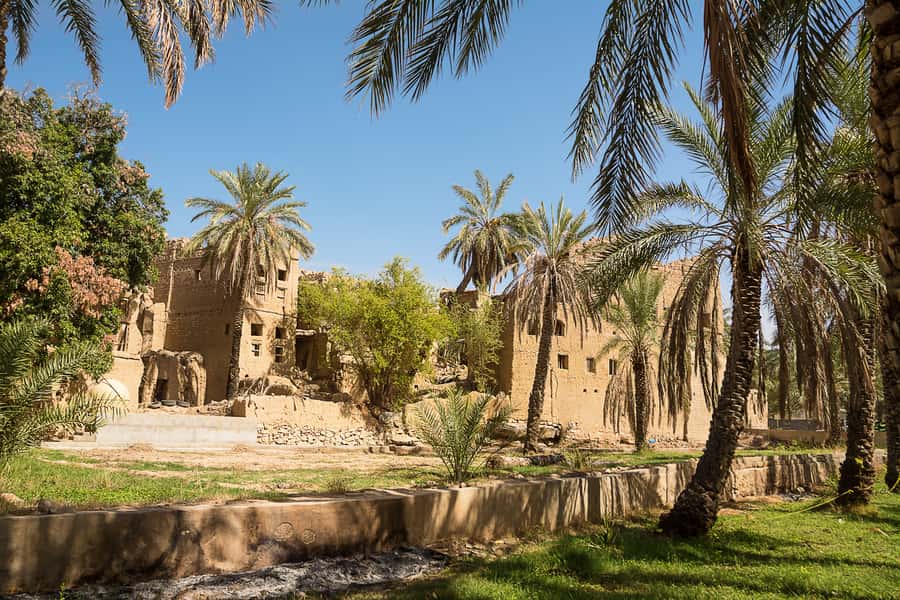 From Muscat: Nizwa and Oman's Historical Gems Tour - Transport, meals, and the guide factor