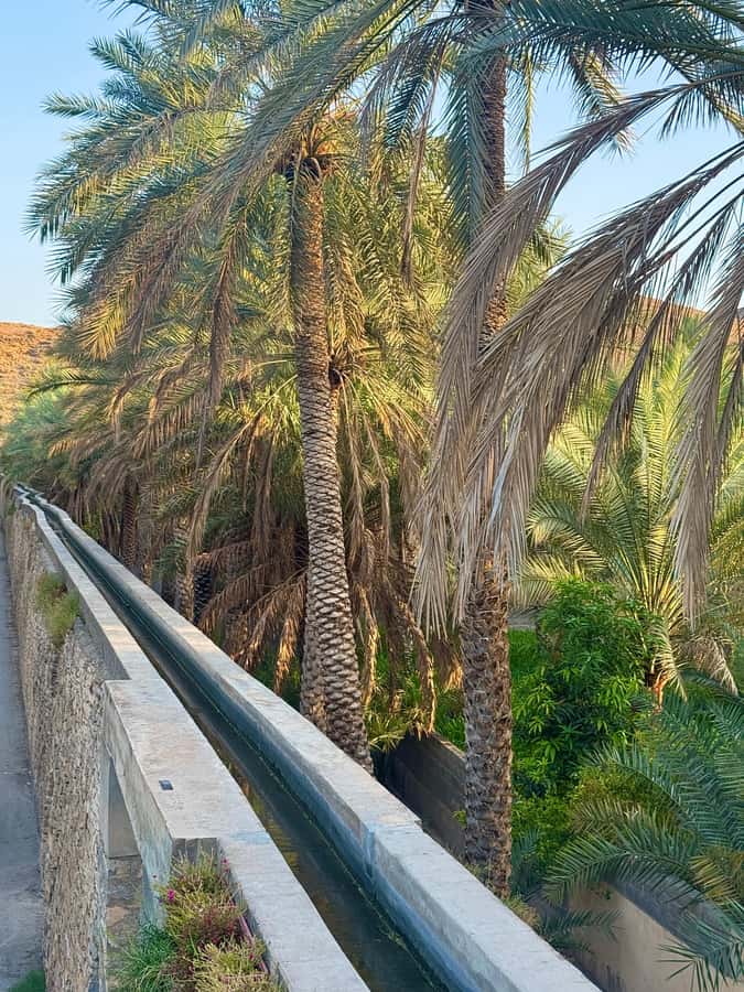 From Muscat: Nizwa Fort, Souq, falaj & Museum Full Day Tour - Nizwa Fort and the view from its great tower