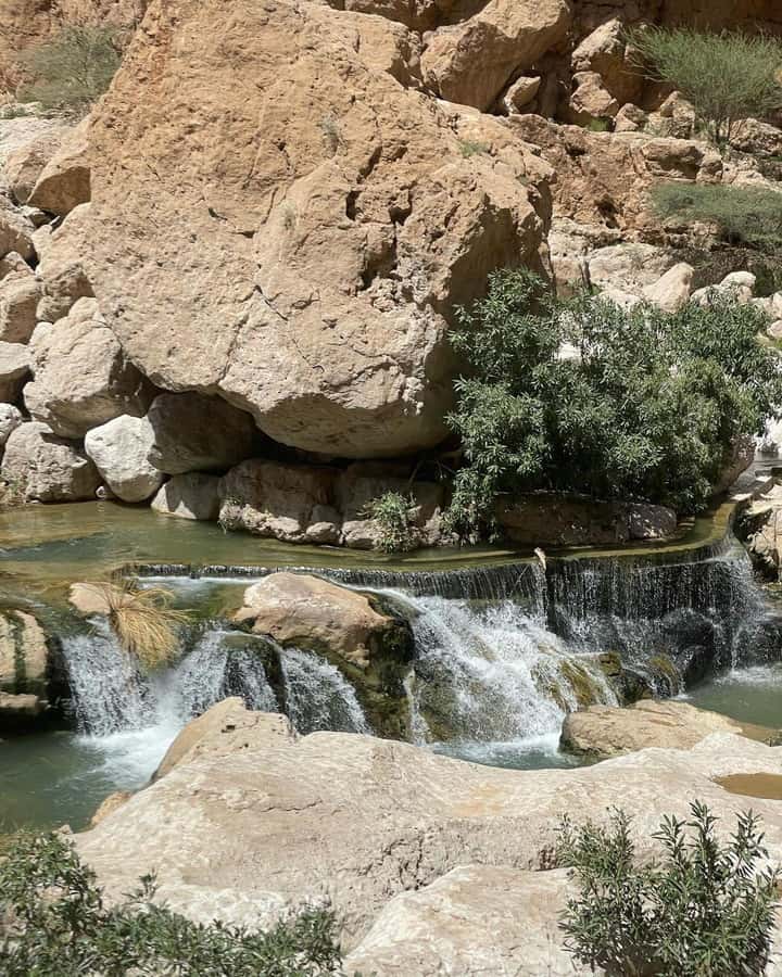 From Muscat:Private Wadi Shab and Bimmah SinkHole Tour - Swimming through the narrow cave