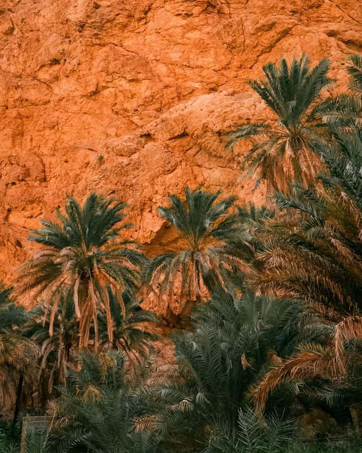 From Muscat:Private Wadi Shab and Bimmah SinkHole Tour - What Bimmah Sinkhole adds