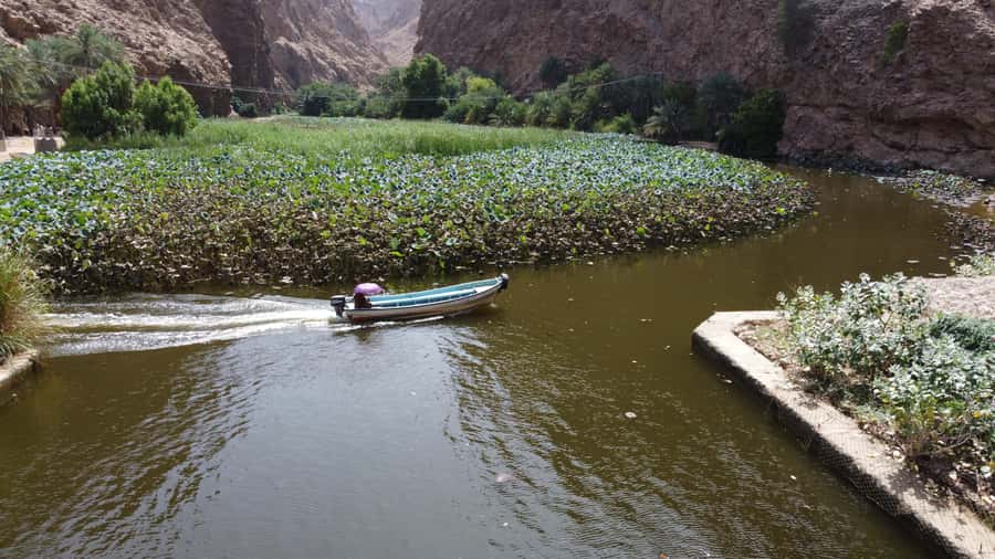 From Muscat: Wadi Shab & Bimmah Sinkhole Full-Day Tour - What the $40 price really gives you