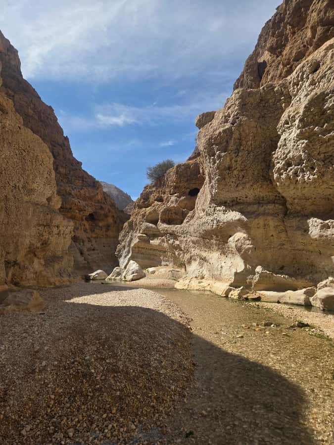 From Muscat: Wadi Shab Expedition - Who will enjoy this day most?