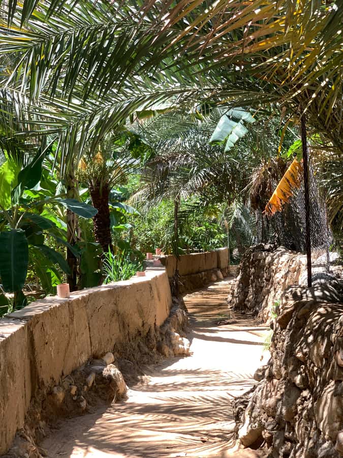 From Muscat: Wadi Shab & Sinkhole Private Tour & Free Lunch - Key points at a glance