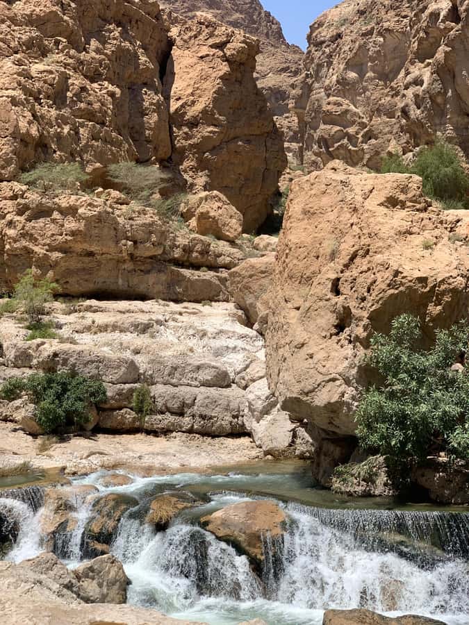 From Muscat: Wadi Shab & Sinkhole Private Tour & Free Lunch - Should you book the Wadi Shab tour?