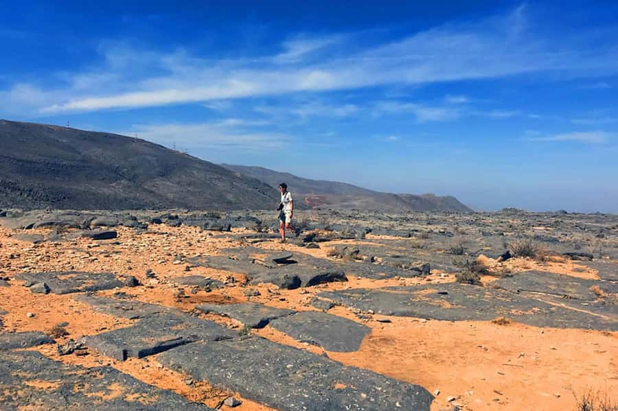 From Ras Al Khaima : Dolphin Watching and Jabal Harim Safari - Key points at a glance