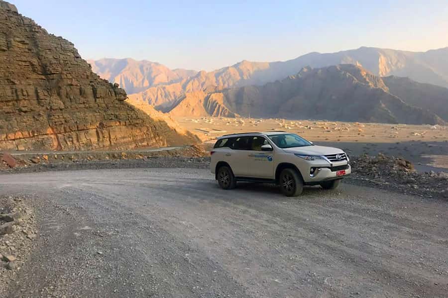 From Ras Al Khaima : Dolphin Watching and Jabal Harim Safari - Snorkeling near Telegraph Island