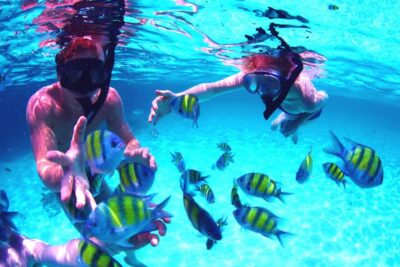 From UAE: Musandam Khasab Dolphin Watching Trip with Lunch