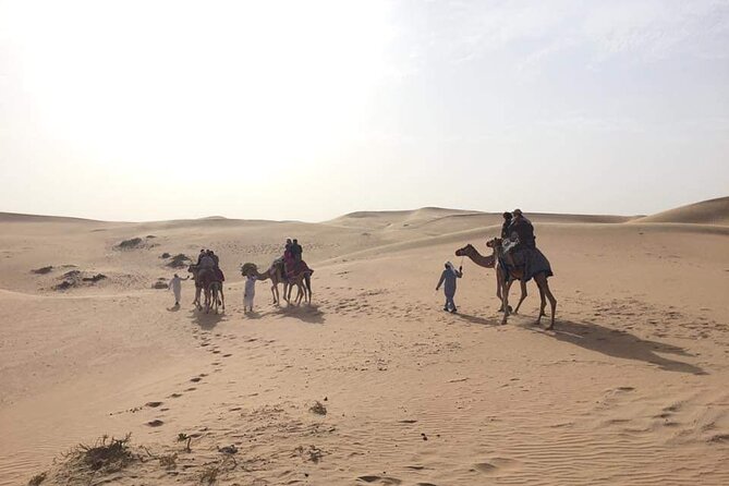 Full-Day Desert Safari Jeep Tour in Ash Sharqiyah Governorate - Dune bashing and sandboarding
