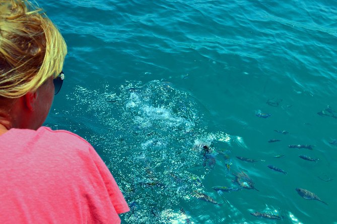 Full Day Dhow Cruise to Khor Sham with lunch & Snorkeling (Shore excursions) - Cruising through Khor Sham’s mountain walls