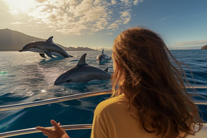 Full day Dhow: Khasab, Musandam: Dolphins, Snorkeling & Fjords - Key Points To Know Before You Book