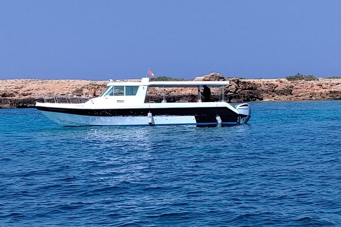 Full Day Dimaniyat Island Excursion - Dolphins, whales, and the value of patience