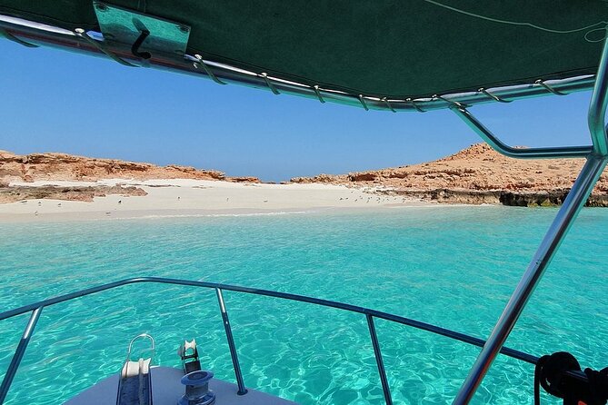Full Day Dimaniyat Island Excursion - Three hours on the island