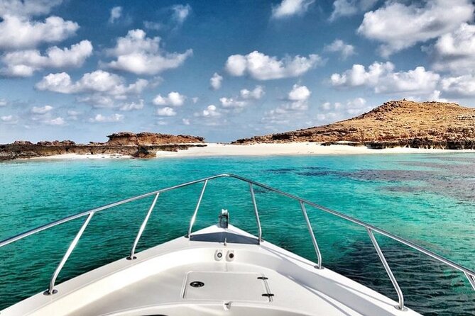 Full Day Dimaniyat Island Excursion - Is $145 a fair price?