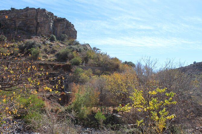 Full-Day Guided Tour to Jebel Akhdar - Seasonal farms, roses, pomegranates, and grapes