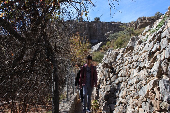 Full-Day Guided Tour to Jebel Akhdar - Price, lunch, and the value of the day