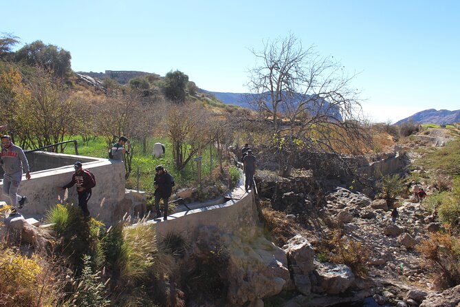 Full-Day Guided Tour to Jebel Akhdar - Who will enjoy this tour most