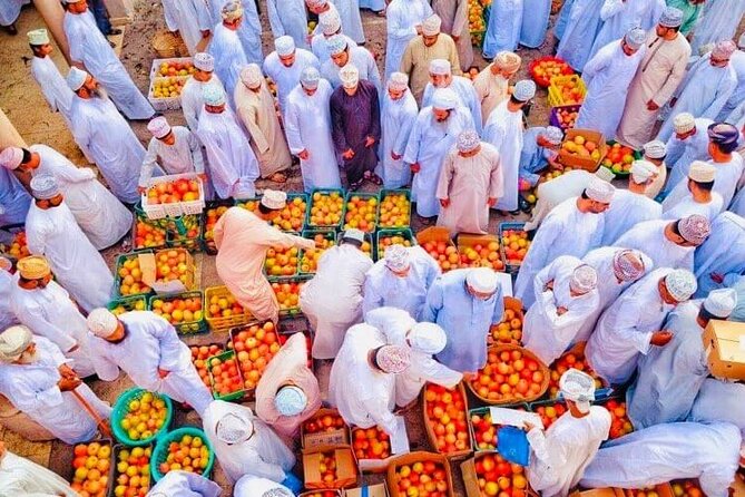 Full Day Private Historical Tour from Muscat to Nizwa Region - Al Kattmyn and Oman’s traditional water system
