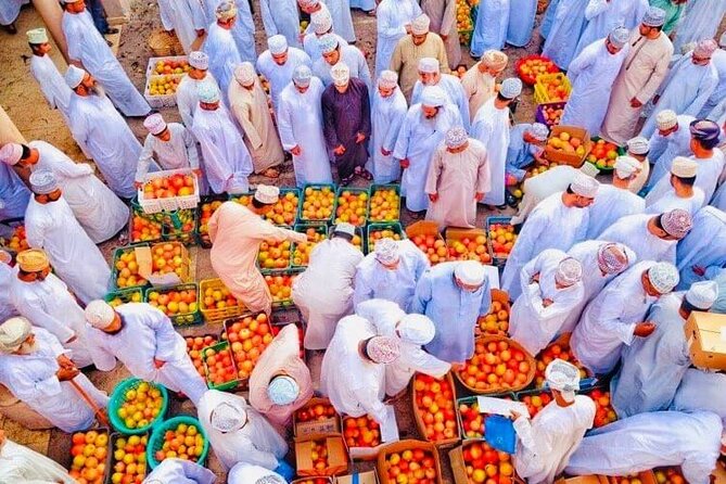 Full Day Private Nizwa/Jebel Akhdar - What the private format changes