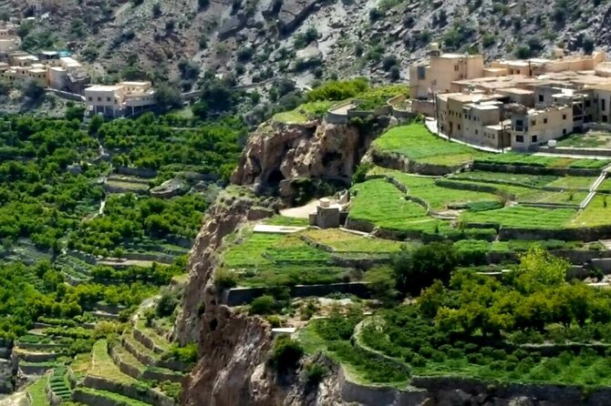 Full Day Private Nizwa/Jebel Akhdar - Nizwa Fort and the old capital