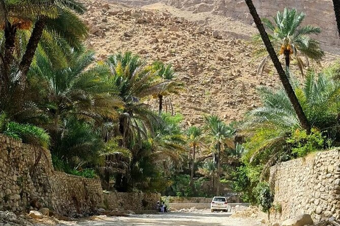 Full-Day Private Tour of Wahiba Sands Desert and Wadi Bani Khalid - Leaving Muscat for Fanja’s mountain setting