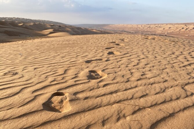Full-Day Private Tour of Wahiba Sands Desert and Wadi Bani Khalid - Why a private guide changes the day