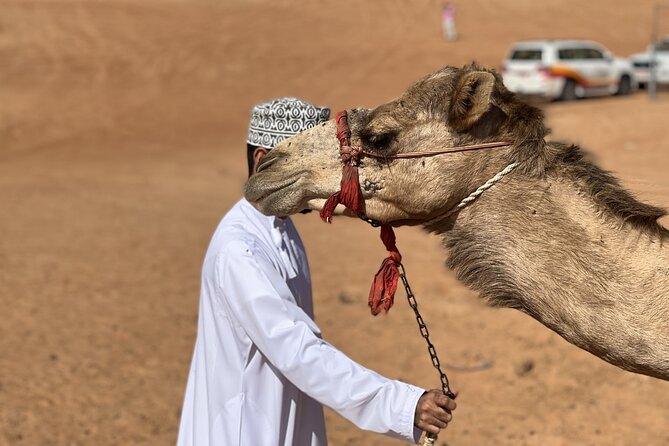Full-Day Private Tour of Wahiba Sands Desert and Wadi Bani Khalid - Should you book it?
