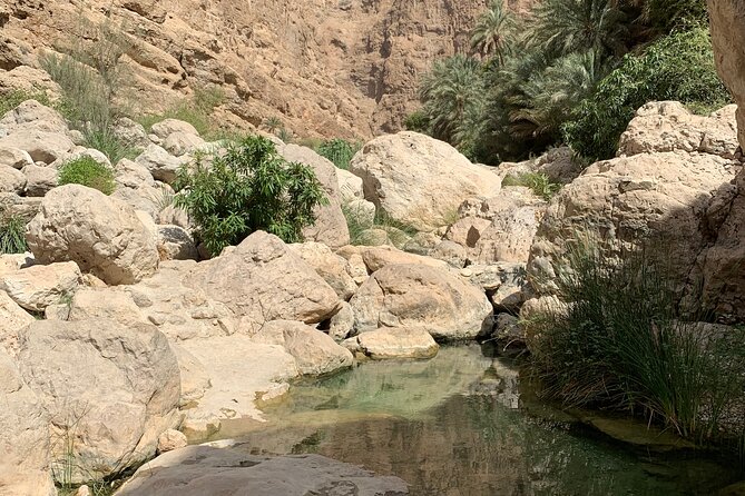 Full Day Private Tour to Wadi Shab and Bimmah Sinkhole - Who will get the most from this tour?