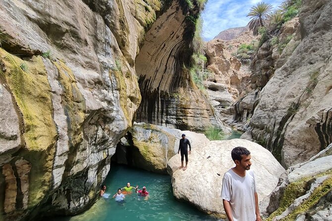 Full-Day Private Wadi Tiwi Adventure - Fins Beach and the White Coast