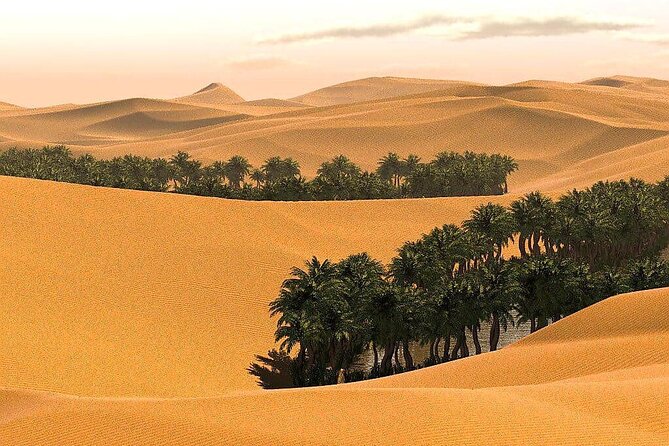 Full-Day Private Wahiba Sands Desert and Wadi Bani Khalid Tour - Adding a camel ride for $8