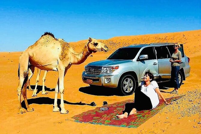 Full-Day Private Wahiba Sands Desert and Wadi Bani Khalid Tour - Is $207 per person good value?