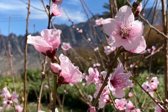 Full Day Tour from Wakan to Jebel Akhdar Trekking - What the $850 group price really buys