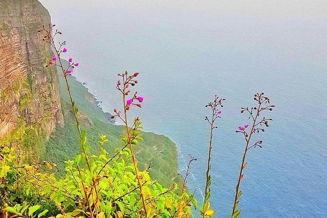 Full day west tour of Salalah - From Salalah to Al-Fezayeh’s silver sand