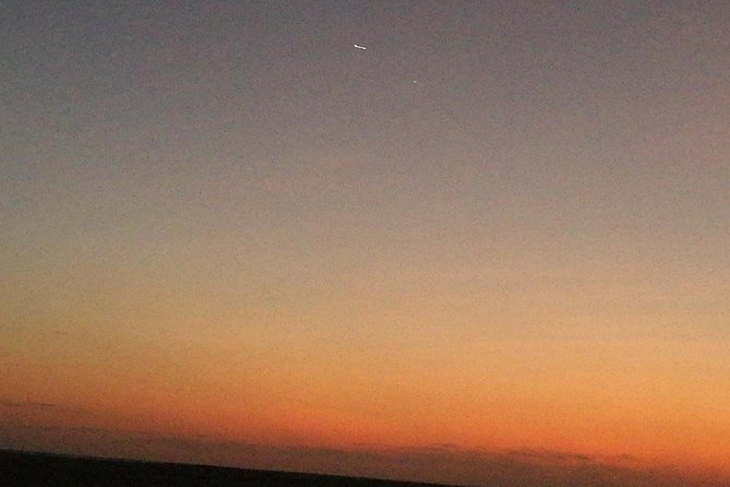 Golden Dunes Getaway: Overnight Safari in Salalah’s Empty Quarter - Wadi Dawkah and the trees behind the trade