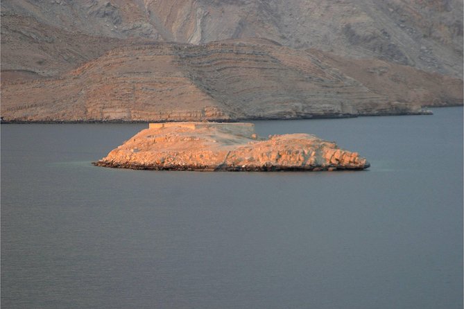 Half Day Dolphin Watching Musandam Dhow Cruise - Who will enjoy this Khasab cruise most