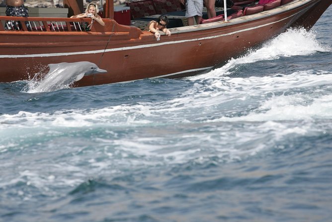 Half Day Dolphin Watching Musandam Dhow Cruise - Dolphin watching beside the dhow