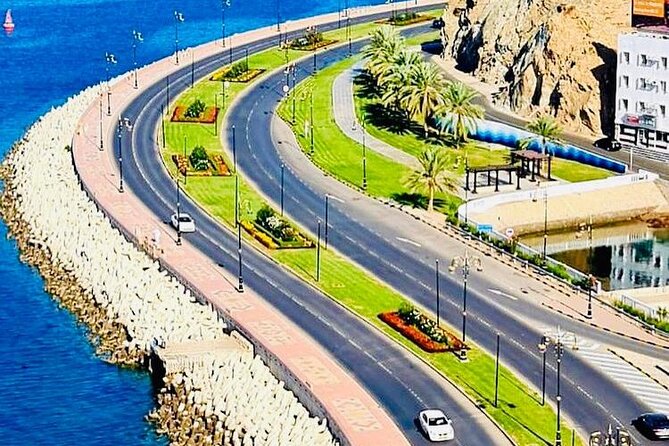 Half-Day Private Guided Muscat City Sightseeing Tour - Guides, vehicles, and the private format
