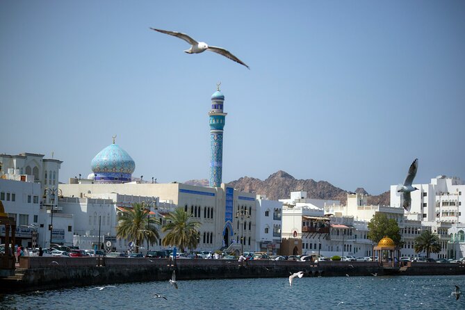 Half-Day Private Muscat City Tour 4 Hours - Is $88 per person a fair price?