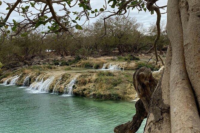 Half-Day Private Salalah East Tour - Key points at a glance