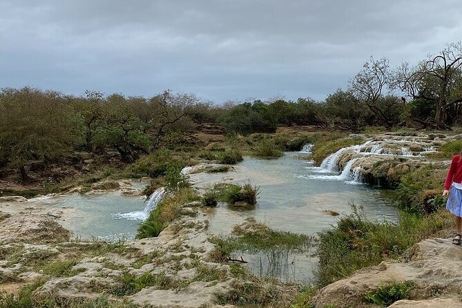 Half-Day Private Salalah East Tour - Where the Omani lunch fits
