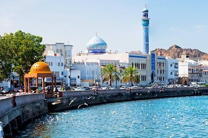 Half-Day Private Tour in Muscat City Oman - A practical first look at Muscat