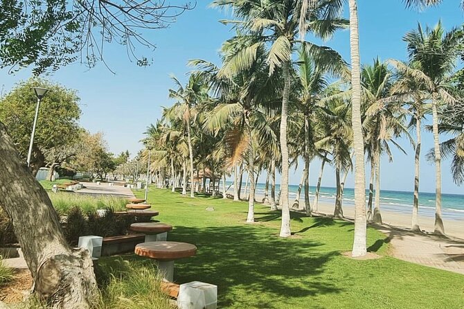 Half-Day Private Tour in Muscat City Oman - Qurum Beach, Omani bread, honey, and karak tea