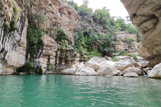 Hidden Gems of Oman: Sinkhole, Fins Beach & Wadi Tiwi Adventure - Wadi Shab from the roadside
